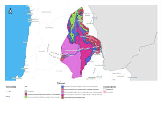 Archivo:Medio ambiente de Chile (2023) - comuna de Calama
