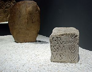 Archivo:Museum of Prehistory and Archaeology of Cantabria 02 - Stele from Peña Amaya