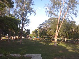 Archivo:Parque Andres Eloy Blanco