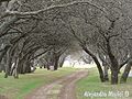 Paseo Los Caldenes
