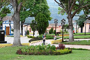 Archivo:Plaza Bolívar de Táchira