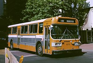Archivo:Portland AM General bus in 1984