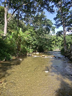 Río Guatire. Guatire, estado Miranda, Venezuela.jpg