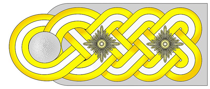 SS Obergruppenführer