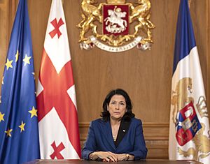 Archivo:Salome Zourabichvili Addressing Nation on 9 April 2020