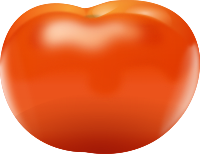 Archivo:Tomate