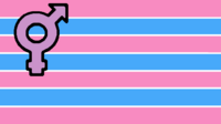 Bandera del orgullo trans (Diseño de Andrew)