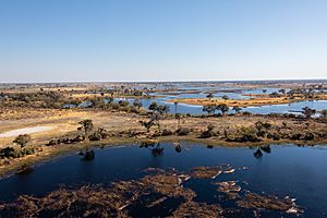 Archivo:Vista aérea del delta del Okavango, Botsuana, 2018-08-01, DD 25