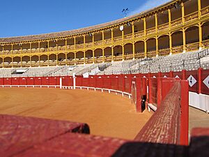 Archivo:...desde las tablas - Aranjuez - panoramio