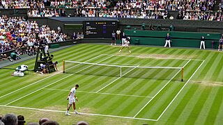 2023 Wimbledon Men's singles final (2).jpg