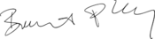 Accession Treaty 2011 Borut Pahor signature.svg
