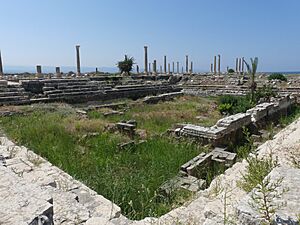 Archivo:AlMedinaSite-Tyre-RectangularArena-MosaicsStreet RomanDeckert23082019-01