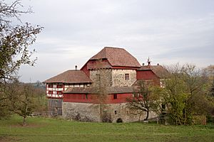 Archivo:Amriswil Schloss Hagenwil