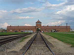 Archivo:Birkenau gate