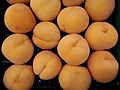 Calanda peaches 2017 A