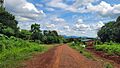 Caminos de Ruiz de Montoya (02)
