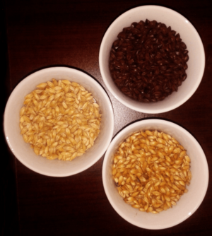 Archivo:Cebadas de Cerveza