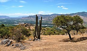 Archivo:Cerro Chiripilco, La Huerta del Mataquito