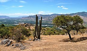 Archivo:Cerro Chiripilco, La Huerta del Mataquito