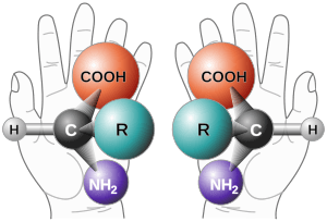 Archivo:Chirality with hands