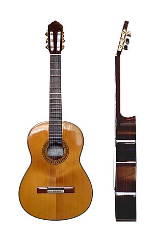 Archivo:Classical Guitar two views