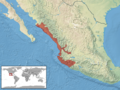 Crotalus basiliscus distribution