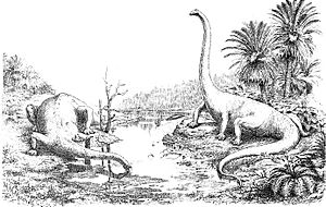 Archivo:Diplodocus by Hay 1910