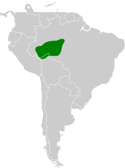 Distribución geográfica del hormiguerito del Madeira.