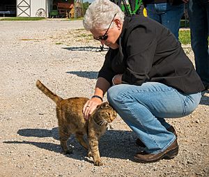 Archivo:Gina McCarthy, Administrator of the Environmental Protection Agency, in Missouri (2014)