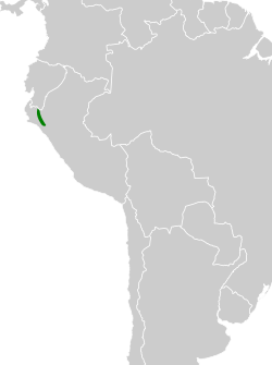 Distribución geográfica del tororoí de Cajamarca.