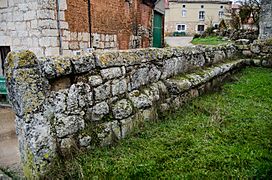 Iglesia-san-pedro-barrios-de-villadiego-feb-2014-7