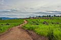 Img Tanganyika1 290122 31