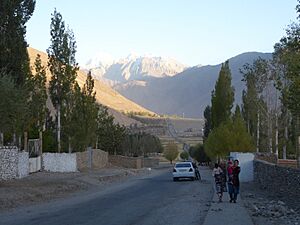 Archivo:Ishkashim populus and the Hindu Kush (9) (31895374700)