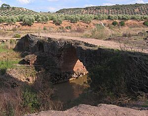 Archivo:JDCANO GUADALIMAR PUENTE MOCHO