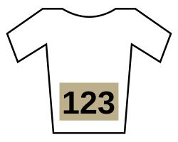Jersey beige number