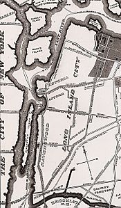 Long Island City map 1896.jpg