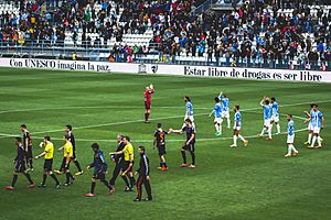 Archivo:Málaga CF 2014