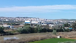 Vista de Mengíbar, junto al río Guadalquivir