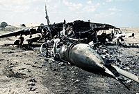 Archivo:MiG-29 wreck