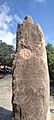 Monumento a Radica (Tafalla) 03