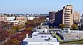 Nakadai karabe