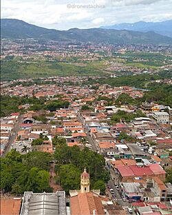 Palmira-tachira-1-.jpg