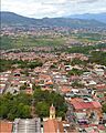 Palmira-tachira-1-