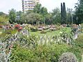 Parc de cervantes - roses