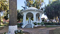 Plaza Freire Chile.jpg