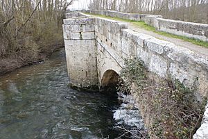 Archivo:Puente de Astudillo-Palencia