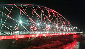 Archivo:Puente del bicentenario