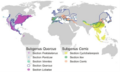Quercus distribucion mundial