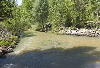 Río Cañamares, Guadalajara.jpg