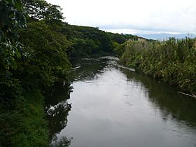 Archivo:Río La Vieja 4. Cartago, Valle, Colombia.